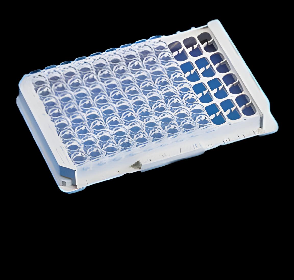https://us-stg-media.usamedpremium.com/public/assets/Catalog/Images/USAMP-23149562.webp