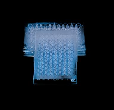 Thermo Scientific™ 96-Well Microplate, Round Bottom, 300 µL, Clear Polystyrene