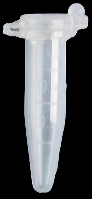 Microcentrifuge Tube Fisherbrand™ Polypropylene Tube 600 µL Snap Cap