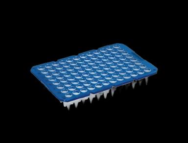 Eppendorf™ twin.tec™ 96-Well Microplate, Thin Walled, 250 µL, Blue