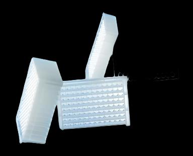 96-Well Microplate Masterblock® - Square Well, Sterile for Laboratory Use