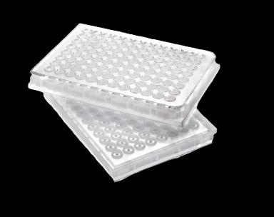 96-Well Microplate MultiScreen-HV Durapore® Filtering Microplate 0.45 µm Clear NonSterile