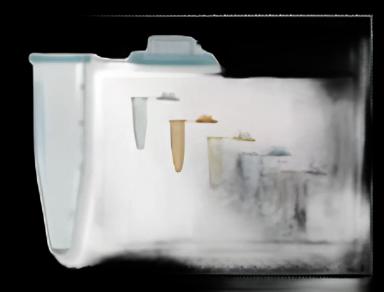 Microcentrifuge Tube Fisherbrand™ Polypropylene Tube 2 mL Snap Cap - 05408146