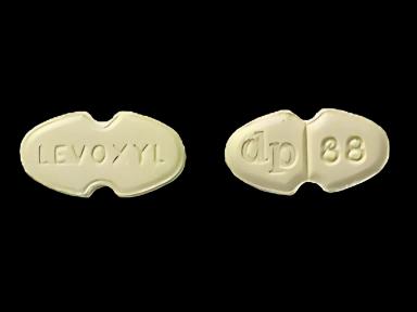 Levoxyl® Levothyroxine Sodium 88 mcg Tablets - Effective Thyroid Hormone Replacement Therapy
