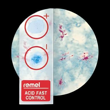 QC-Slide™ AFB Stain Positive/Negative Control Set for Mycobacterium Tuberculosis