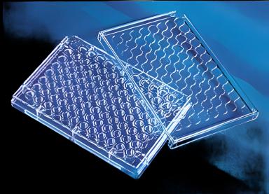 Costar™ 96-Well Microplate Clear Sterile - Optimal Cell Attachment